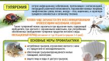 Туляремия. Основные меры профилактики